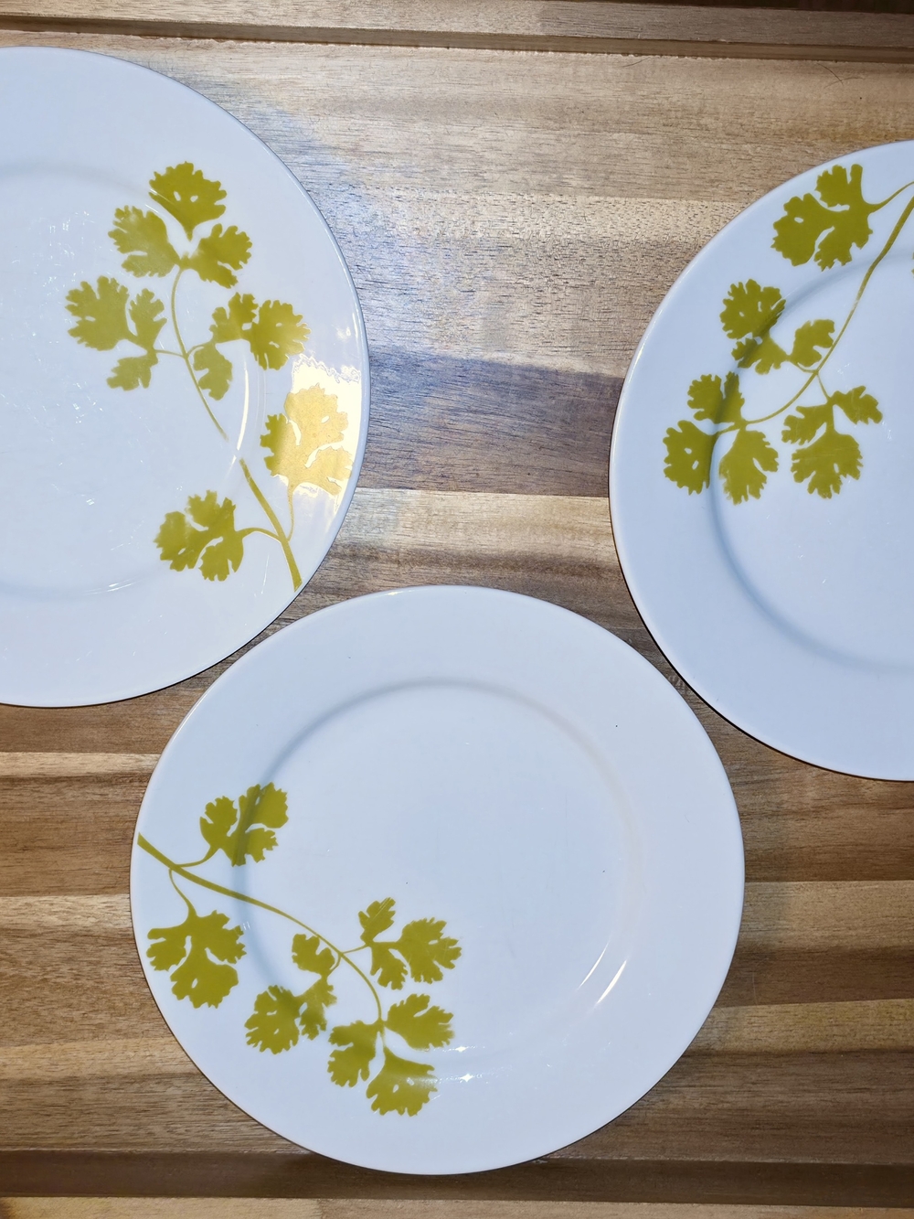 COOKS White Dinner Plates with Yellow-Green Leaf Motif - Set of 3